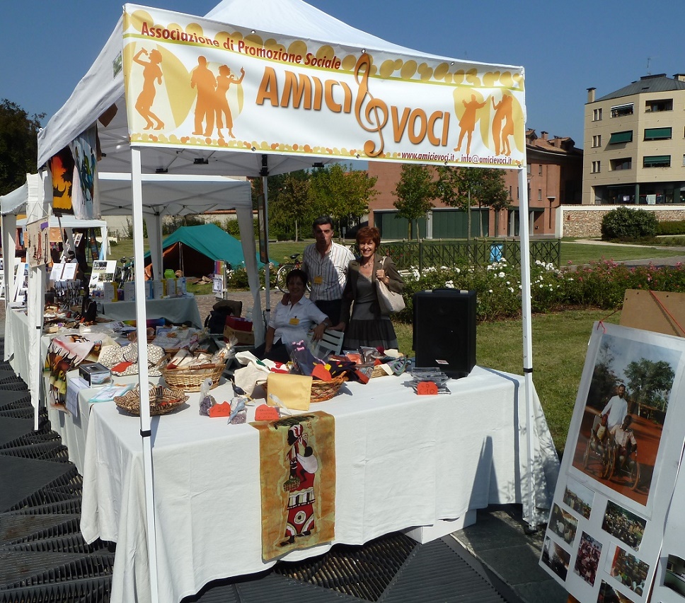 2011 arcore volontar 1